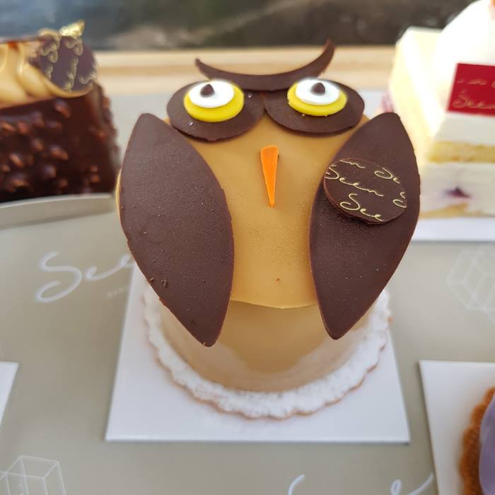 47471612_336537880473636_3634467760429334528_n