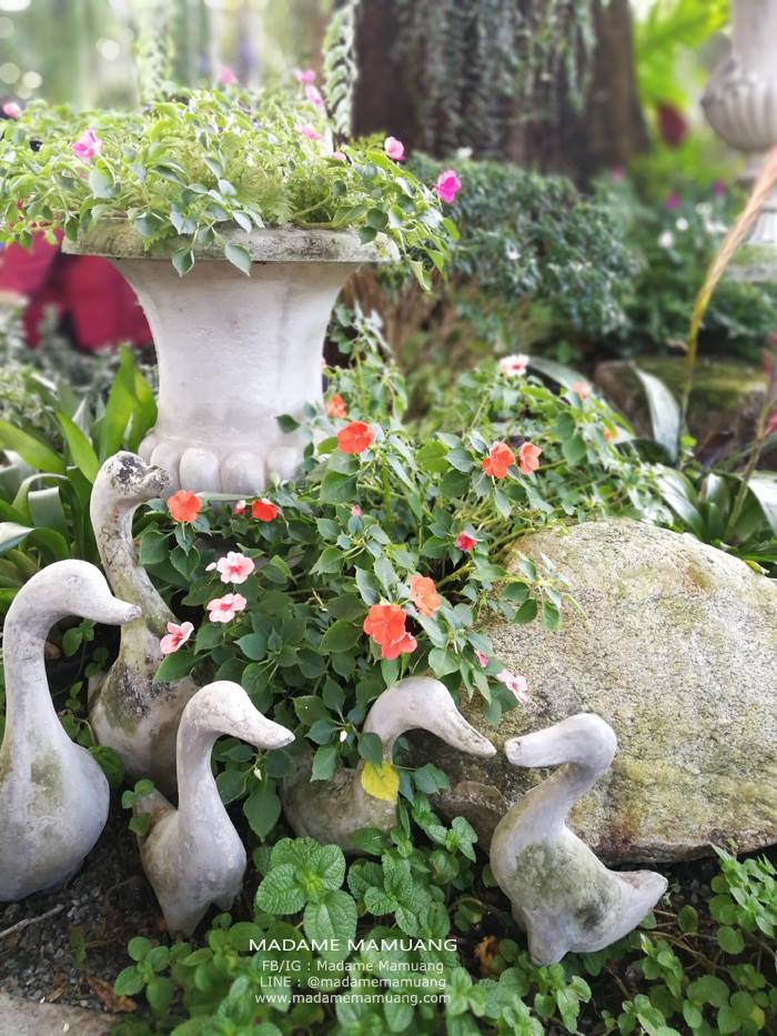 47572093_336538057140285_2906638170042925056_n