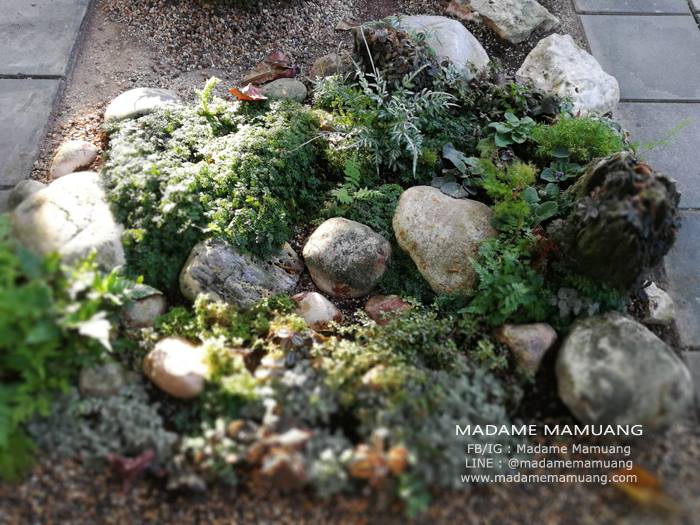 47580815_336538100473614_3157812925574414336_n