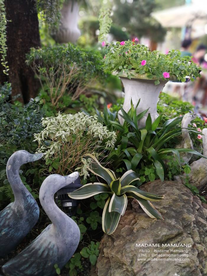 47679651_336538030473621_6375011771245133824_n