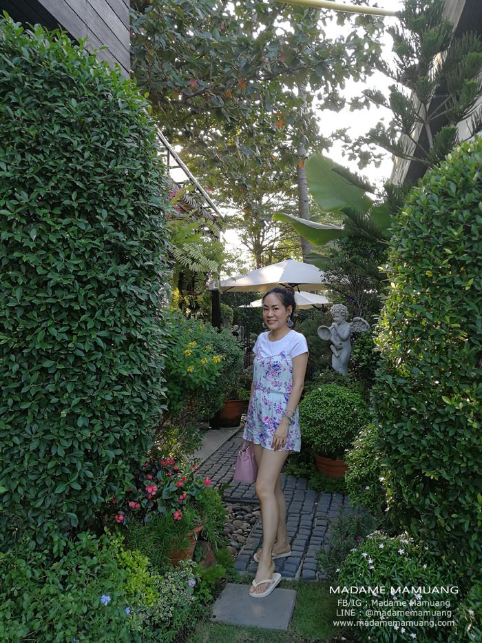 47684327_336538137140277_5244539944730361856_n