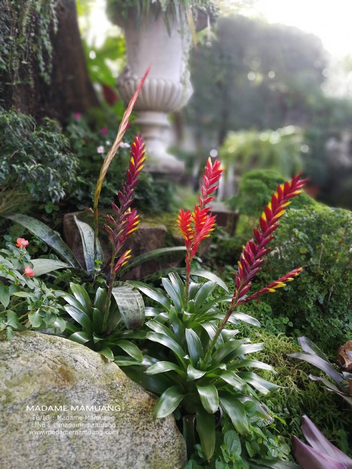 48123054_336538083806949_2169294256433266688_n