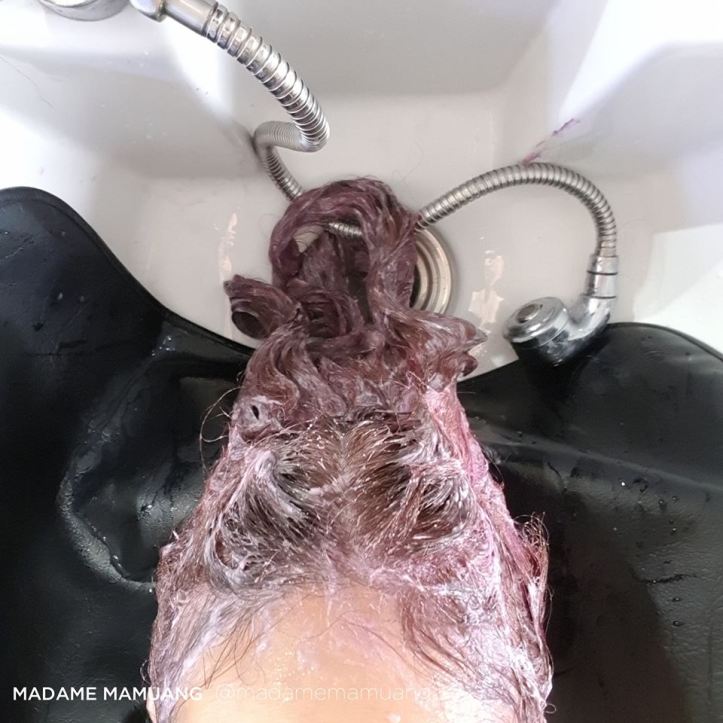 48376398_338393783621379_1741674006634823680_n