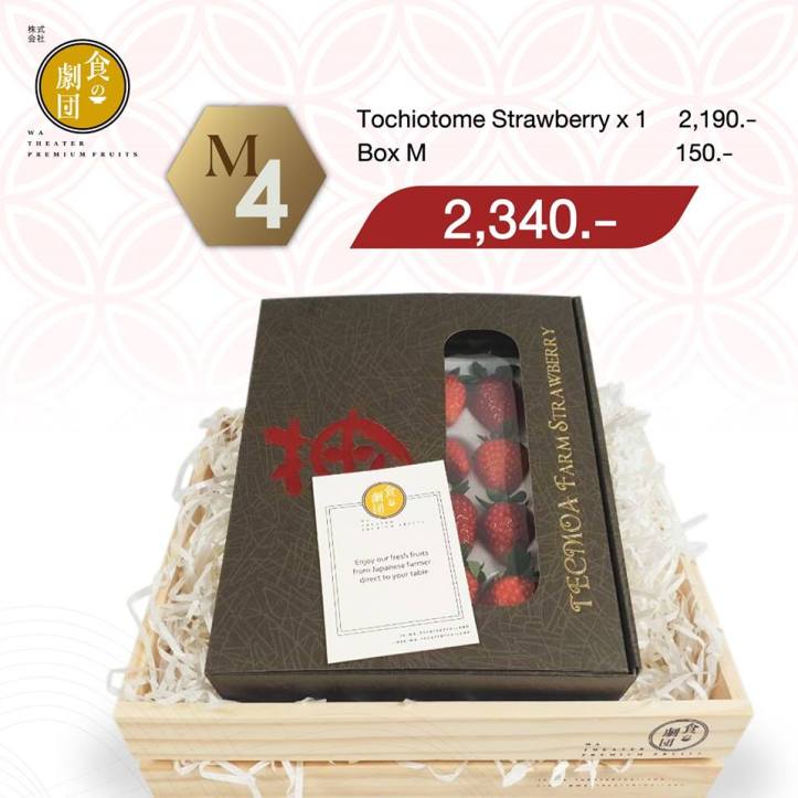 48977512_2262730107094913_4557474292677214208_n