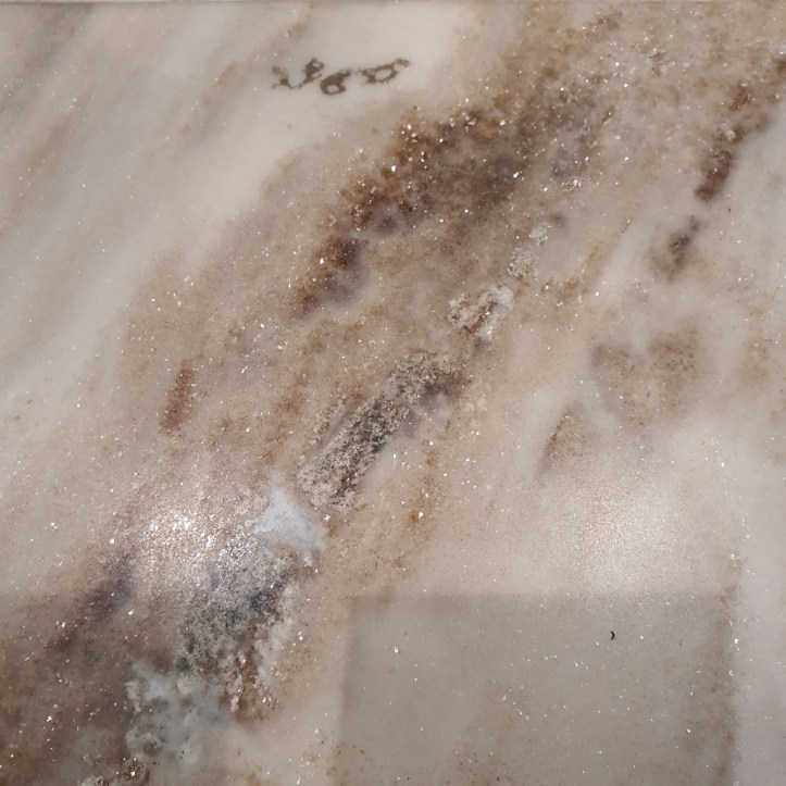 1252019_๑๙๑๒๐๕_0047