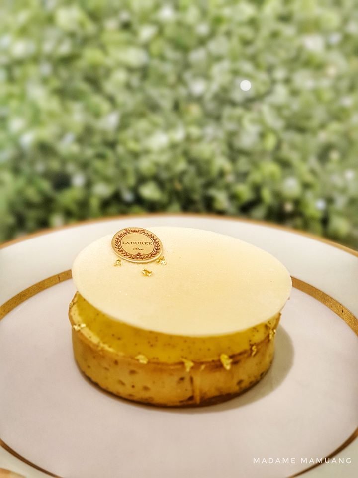 82300581_592751204852301_521415463595409408_o