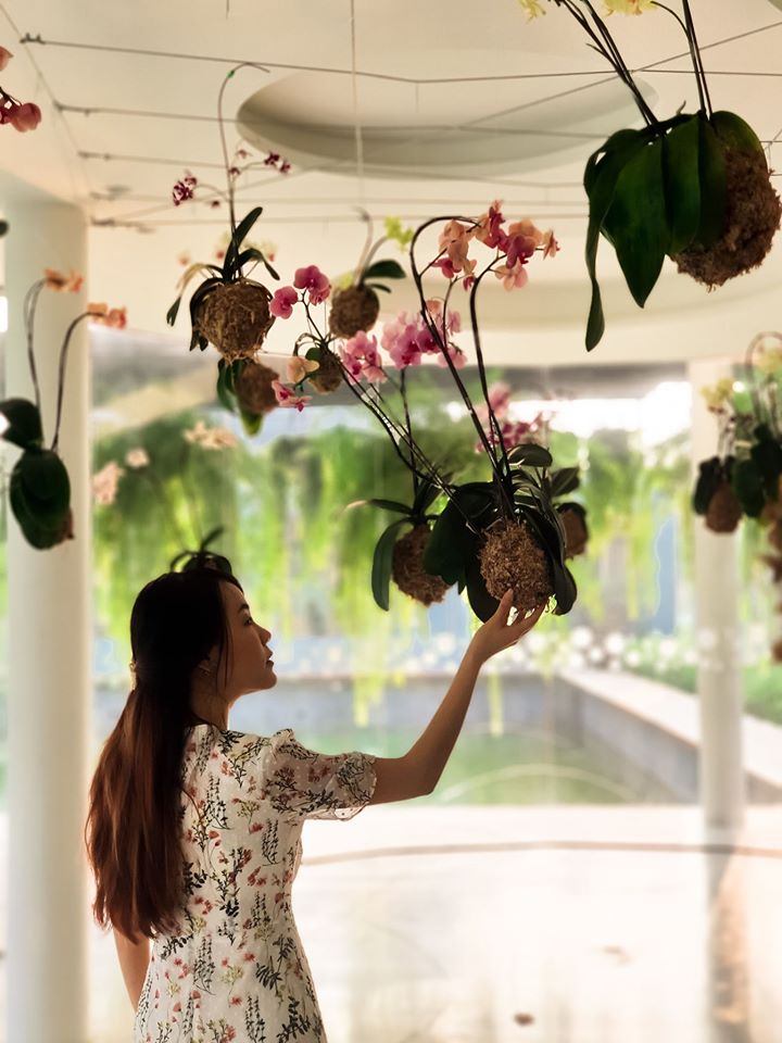 83188346_594708247989930_189974503810400256_o