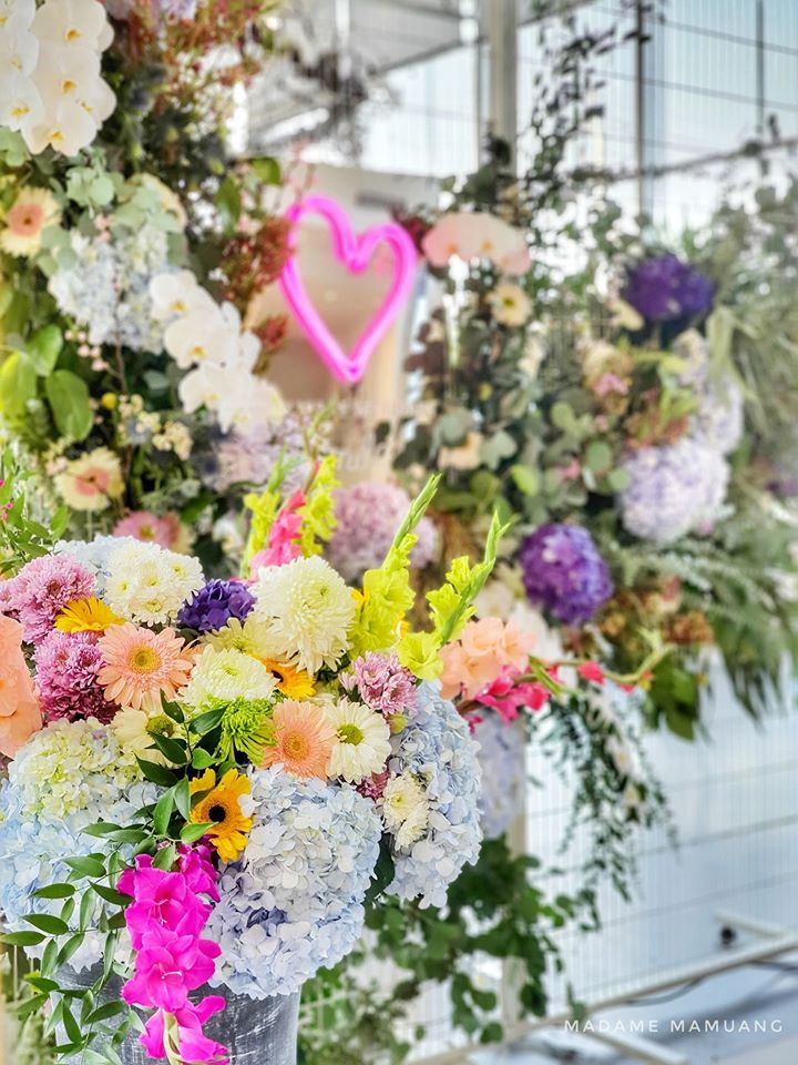 83744569_596860577774697_6828246845219667968_o