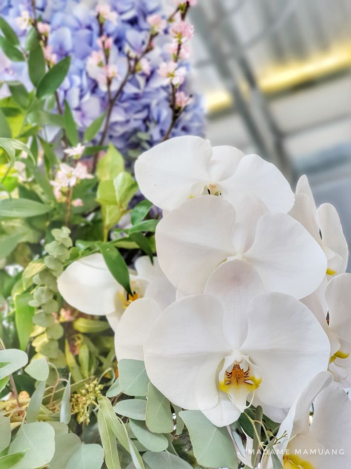 83820586_596860677774687_4050374509130153984_o