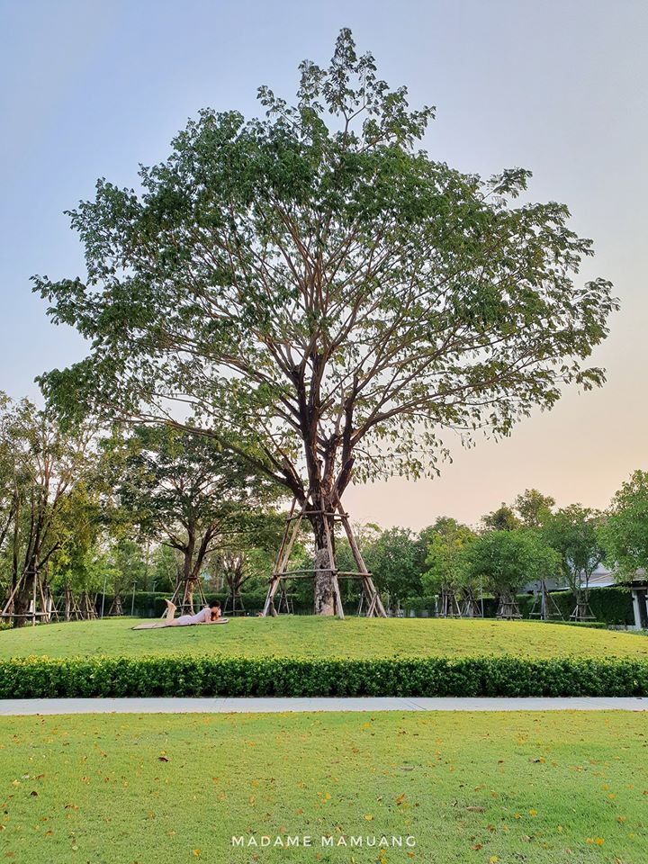 88056536_622099681917453_7148203732470071296_o