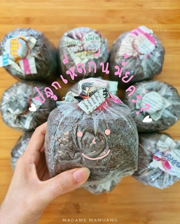 89242185_628554584605296_8352626031009464320_o