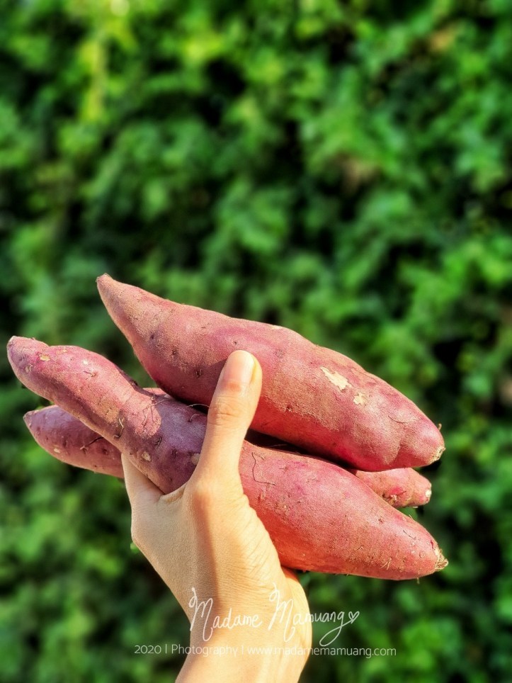 4102020_๒๐๐๔๑๐_0060