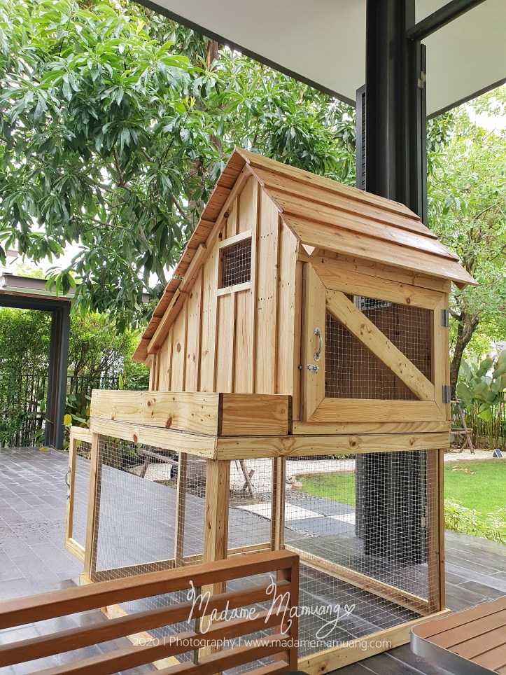 LogoLicious_20200426_173406-01