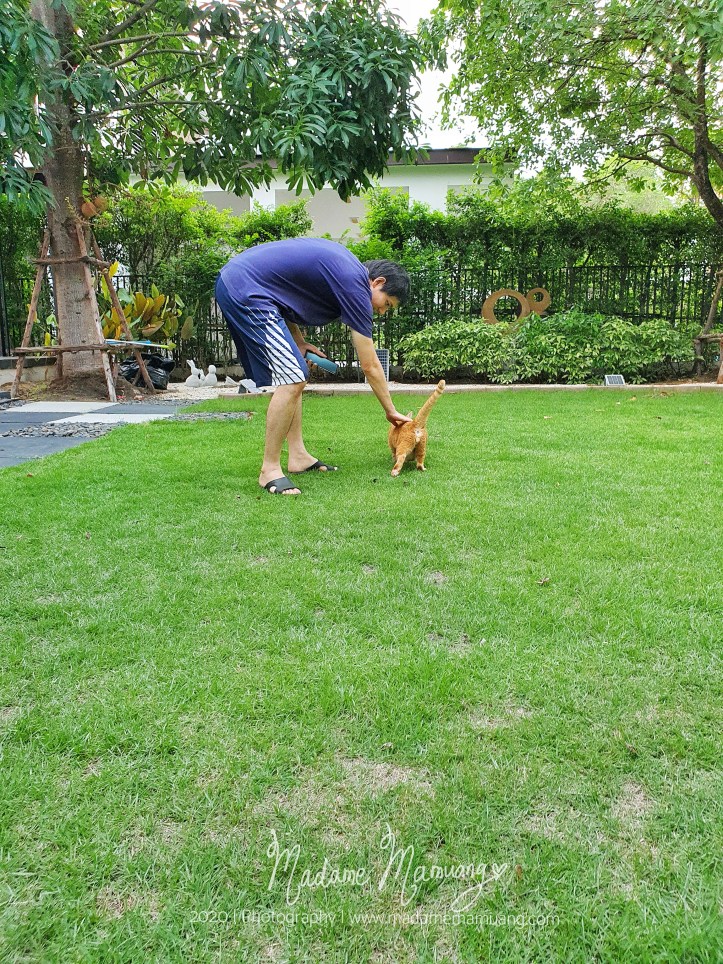 LogoLicious_20200428_192405-01