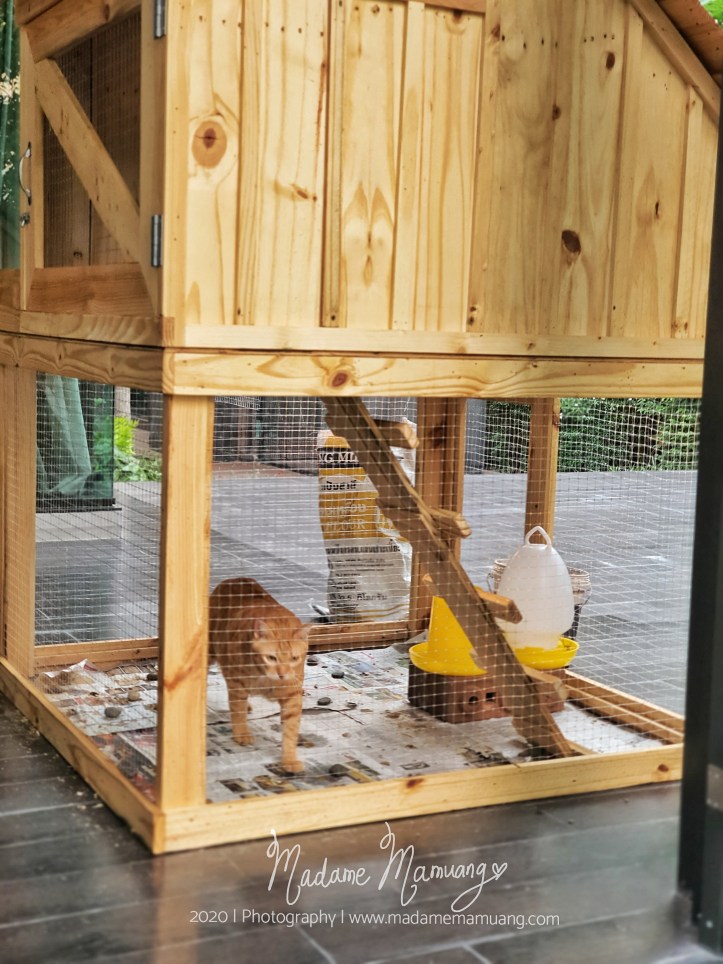 LogoLicious_20200428_192653-01