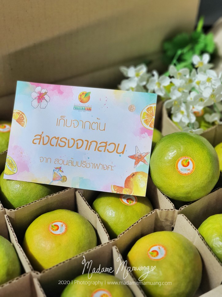 LogoLicious_20200516_213224-01