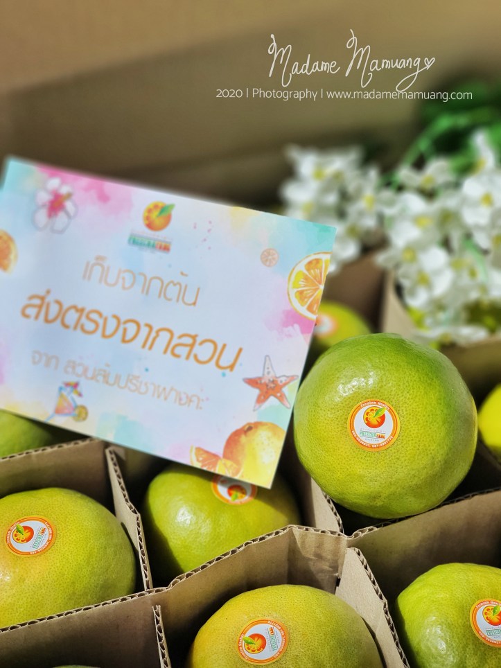 LogoLicious_20200516_213252-01