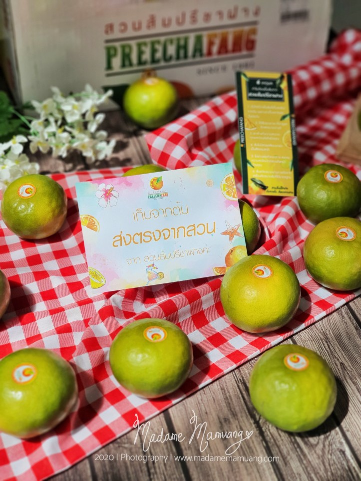 LogoLicious_20200516_213311-01