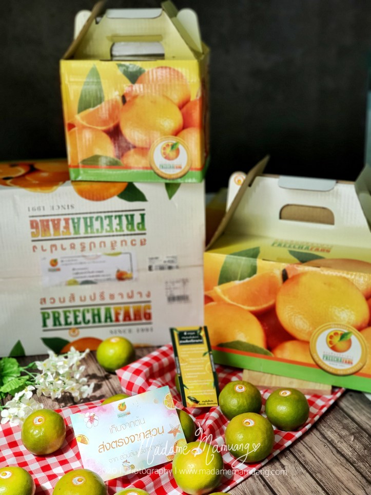 LogoLicious_20200516_213407-01