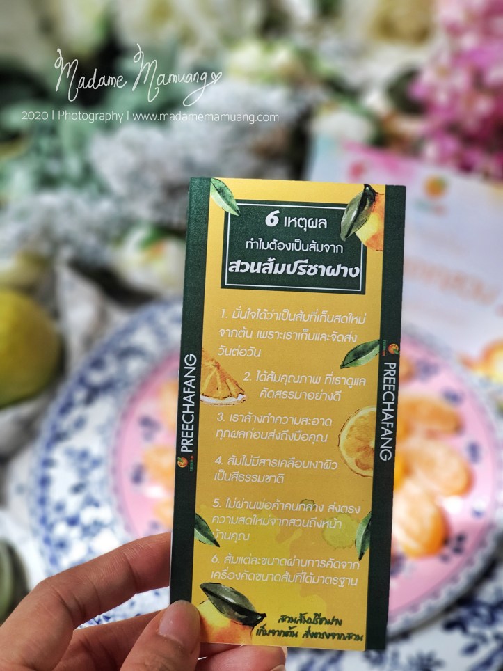 LogoLicious_20200516_213518-01