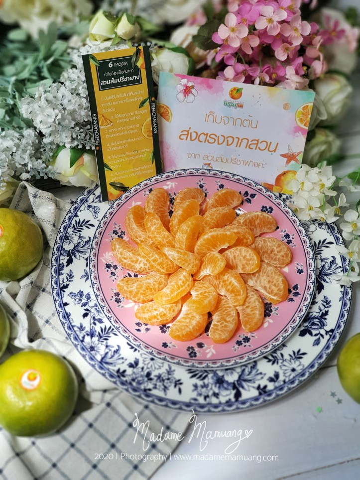 LogoLicious_20200516_213539-01