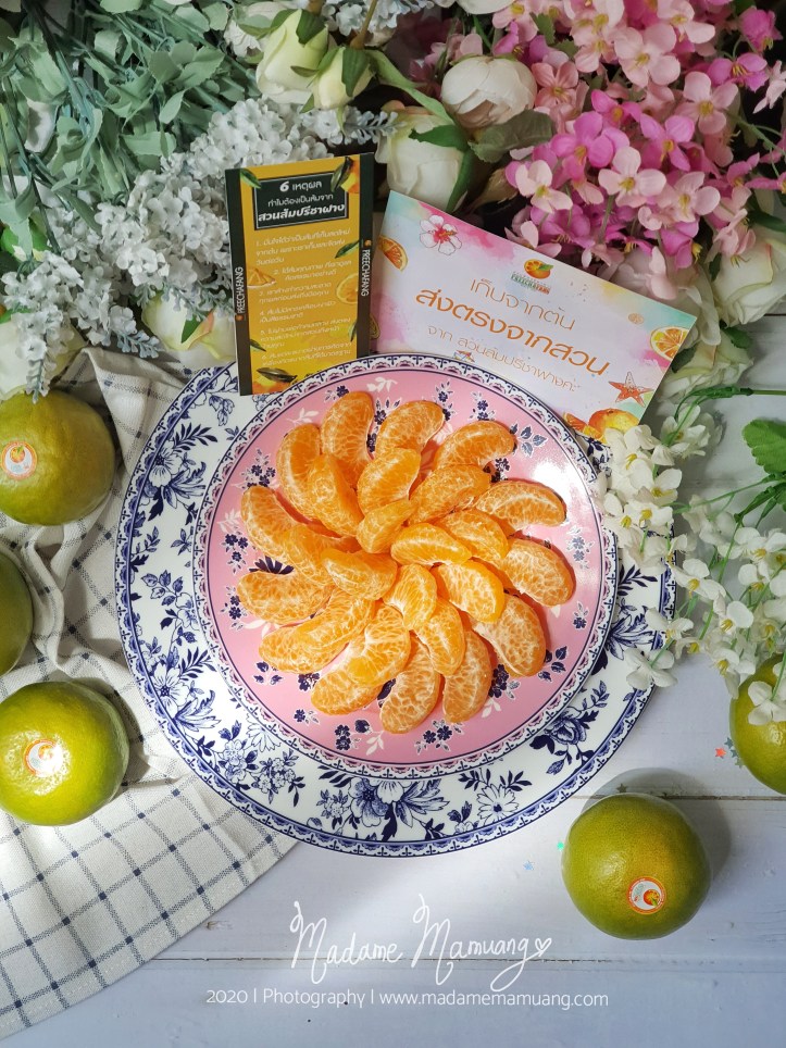 LogoLicious_20200516_213603-01