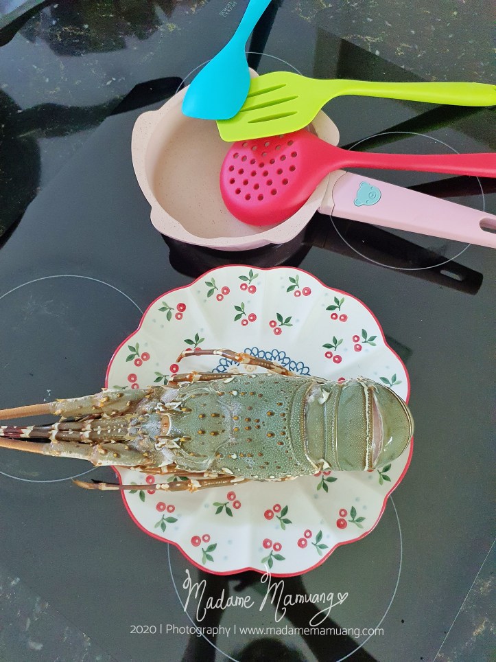 LogoLicious_20200517_002713-01