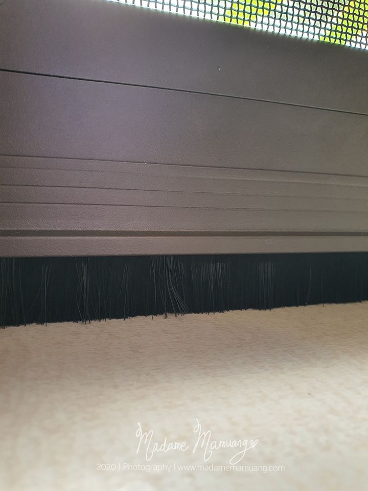 101265348_684809738979780_2296837648204955648_o