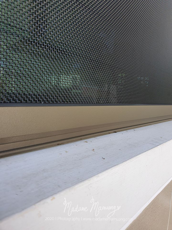 101376846_684812882312799_111072630278193152_o