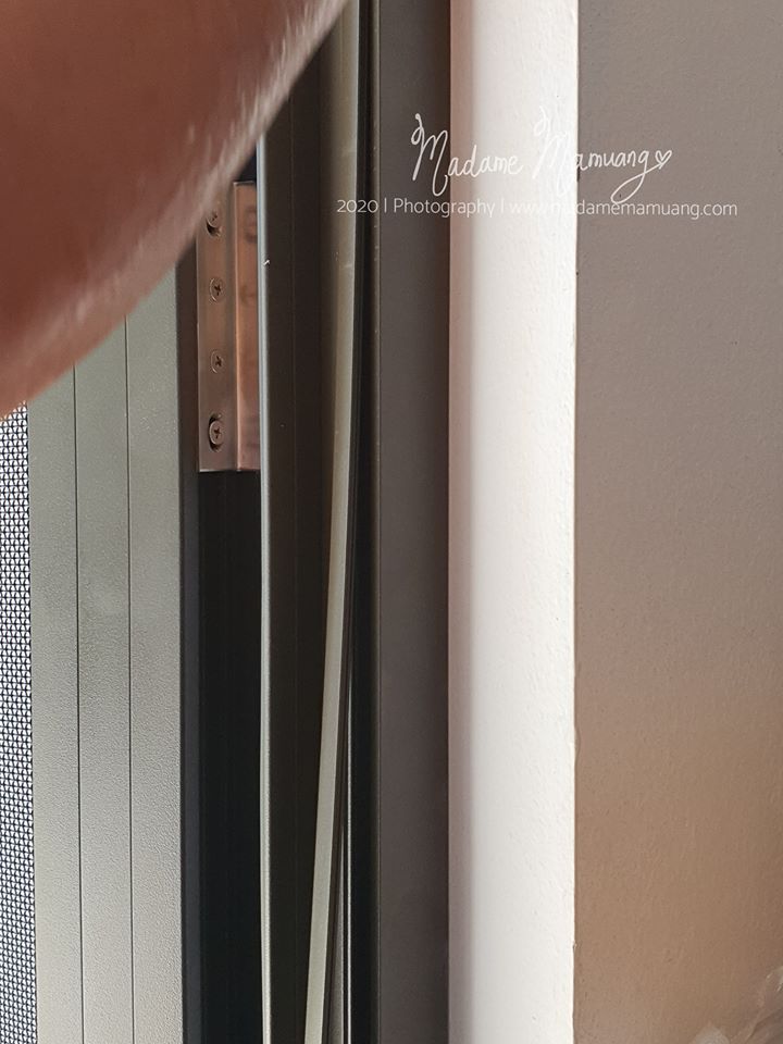 102880018_684809932313094_5575864875973869568_o