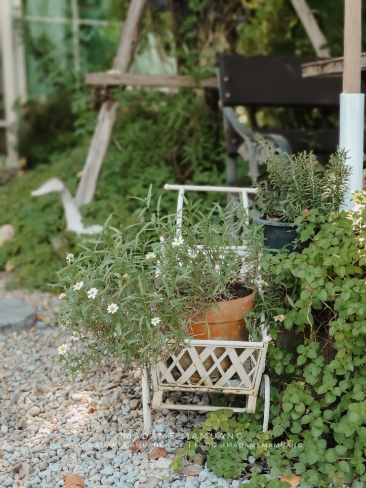 8282020 _3_๒๐๐๘๒๘_24