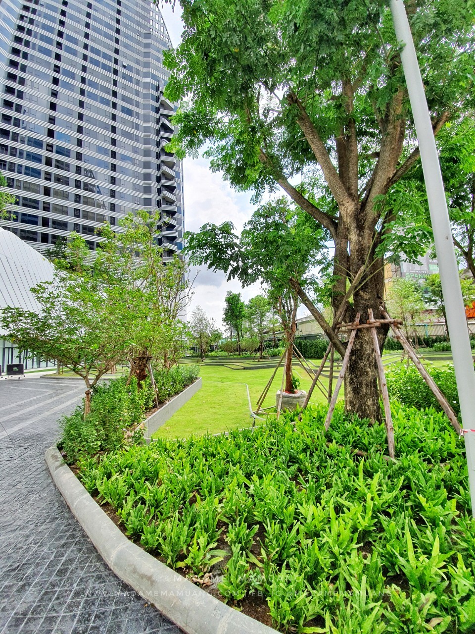 1052020_๒๐๑๐๐๕_27